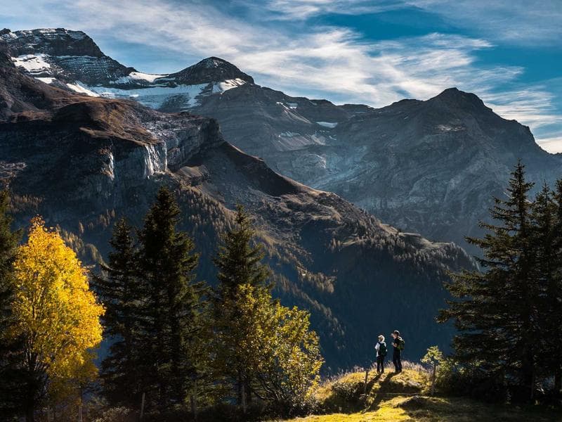 Nachhaltig leben in der Stadt: Ein praktischer Guide